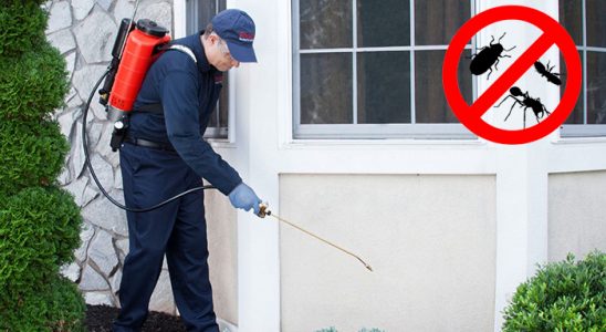 Serinhisar Gümüşkurt İlaçlama böcek ilaçlama ve haşere kontrolü — ilaclama-tr.com